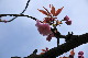 image0137