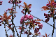 image0138