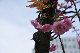 image0140