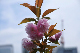 image0141