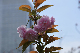 image0142
