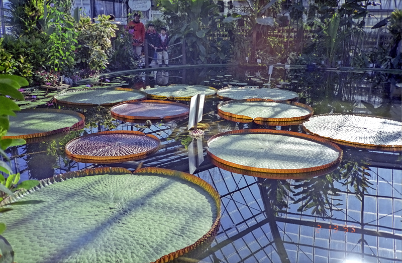 image0069