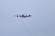image0581