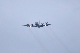 image0582