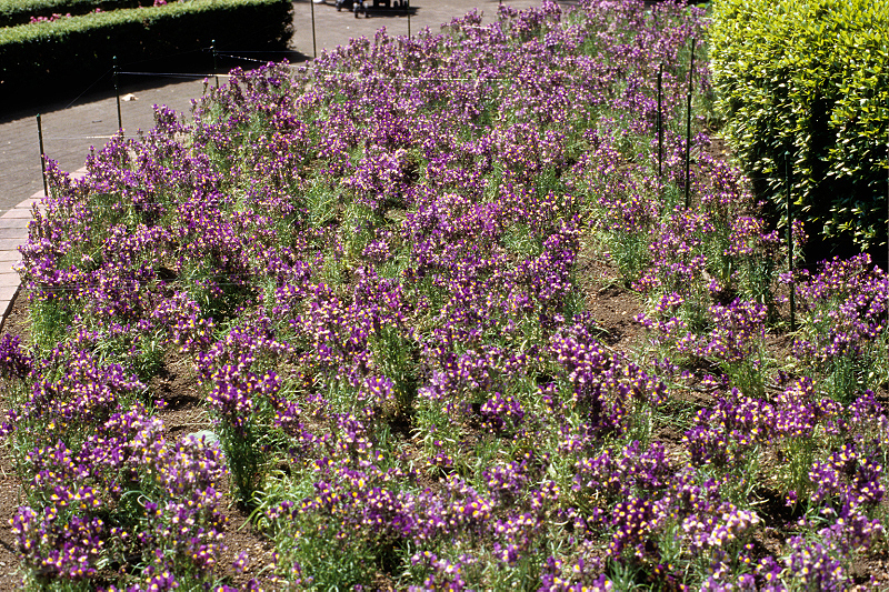 image0033