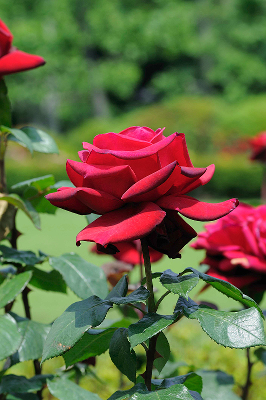 image0102