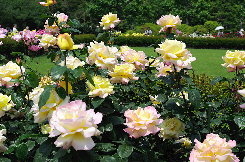image0111