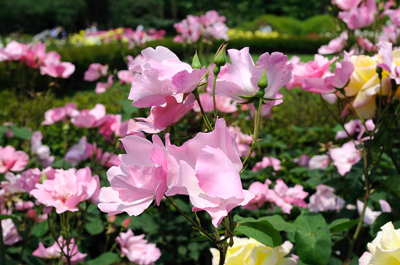 image0113