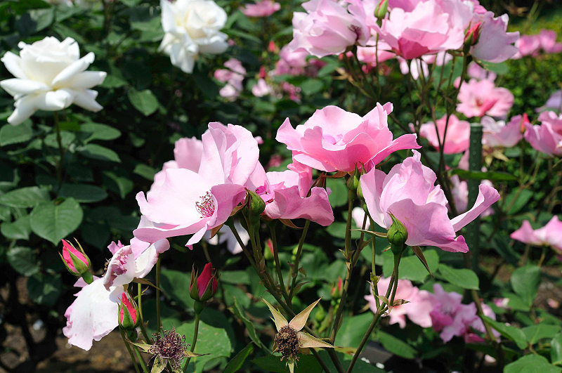image0114
