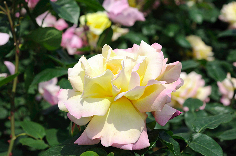 image0117