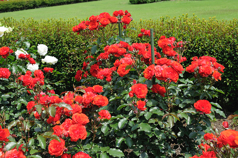 image0131