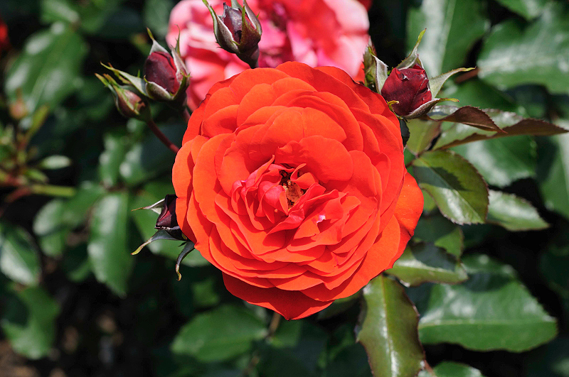 image0135