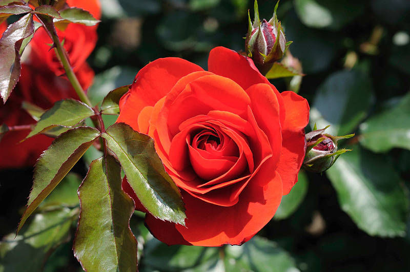 image0139