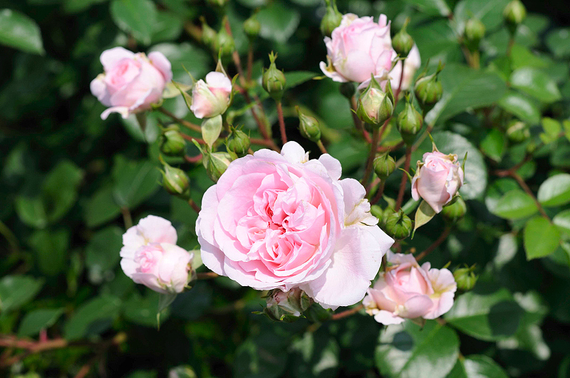 image0145