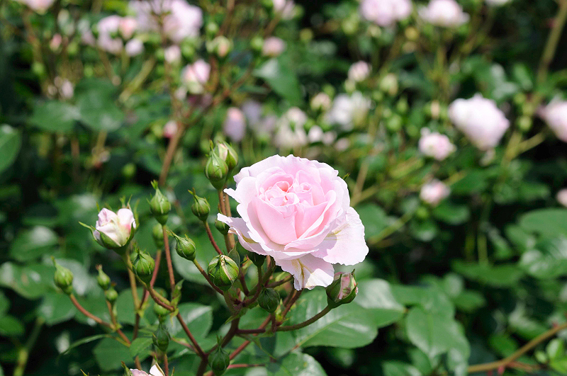 image0146