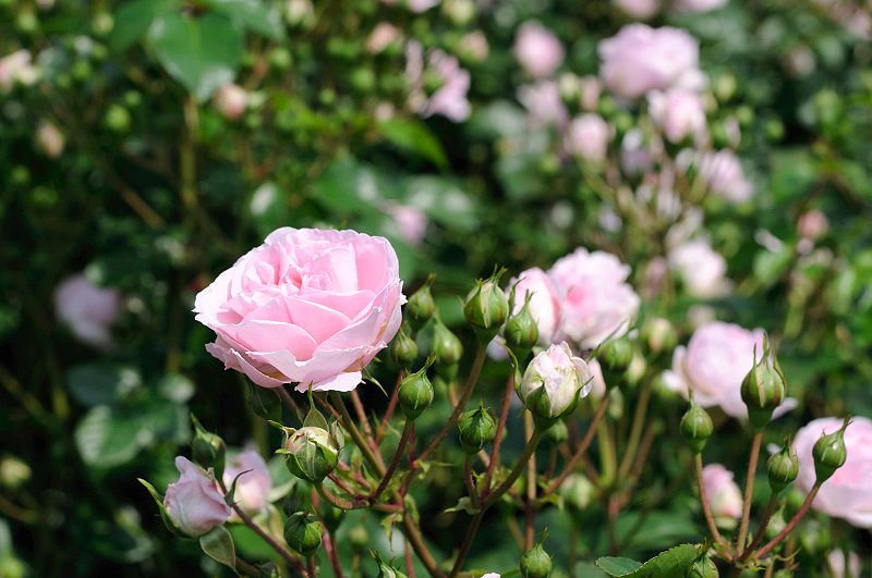 image0147
