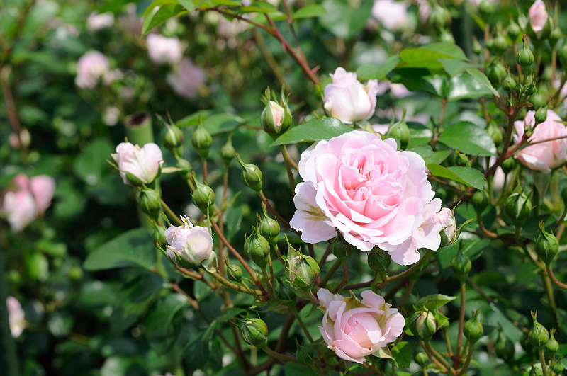 image0148