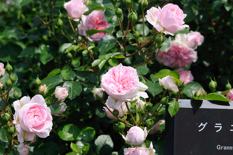 image0149