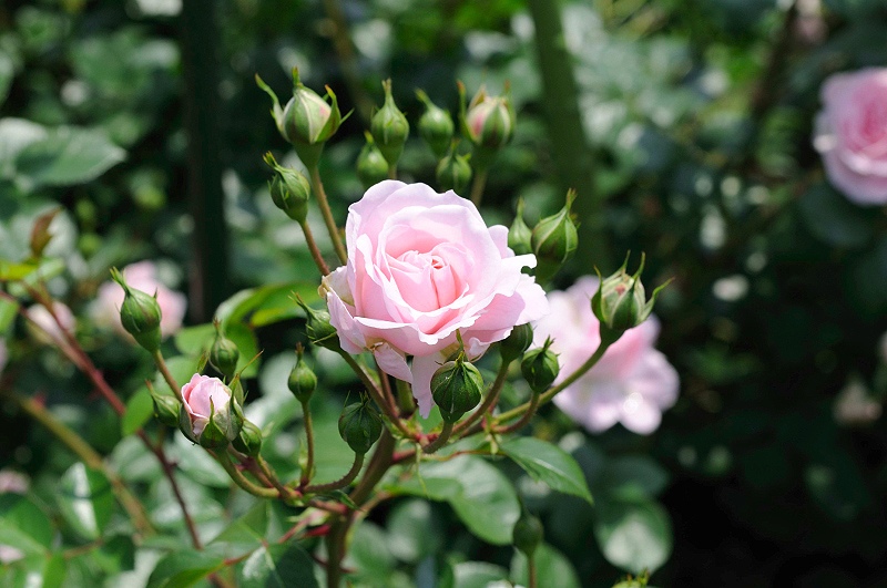 image0150