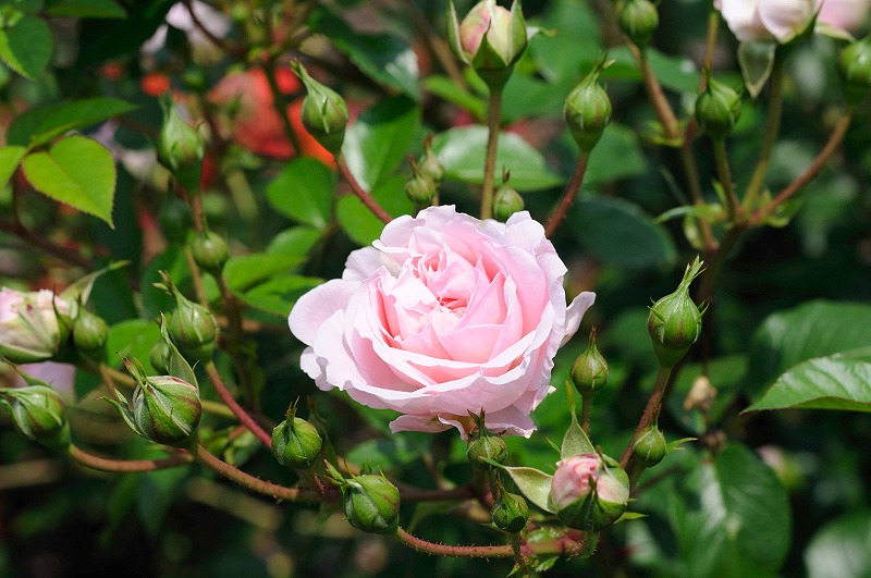 image0151