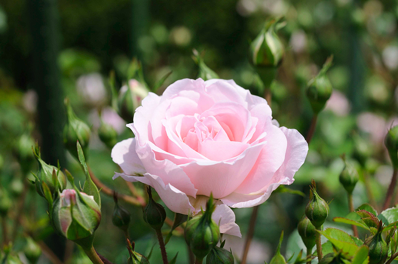 image0152