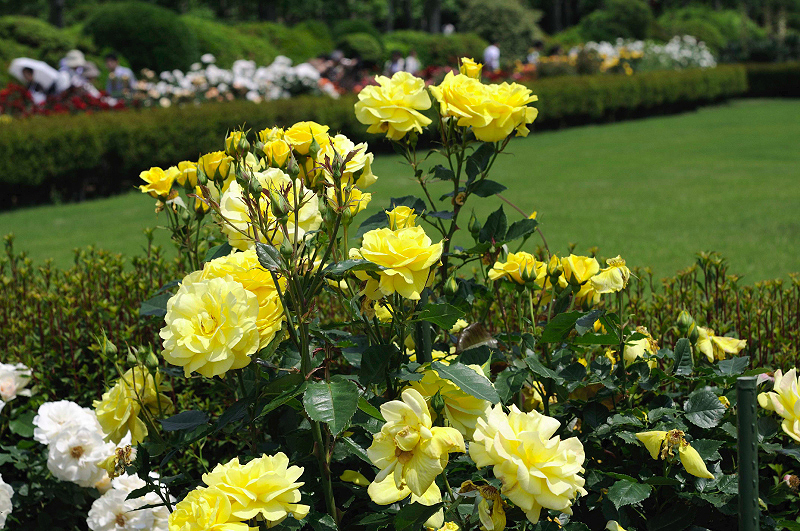 image0157