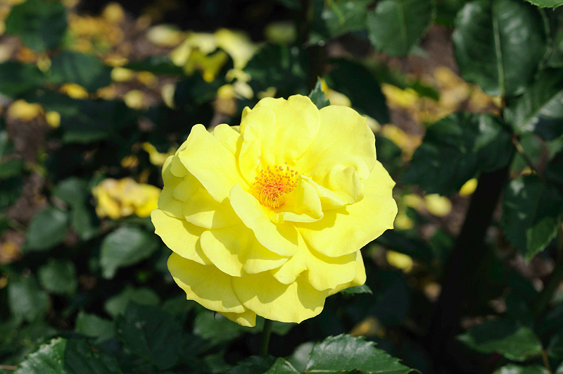 image0158