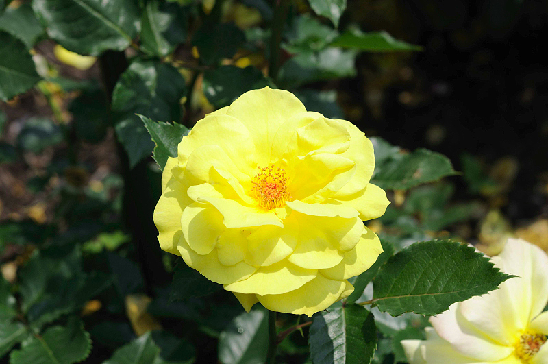 image0159