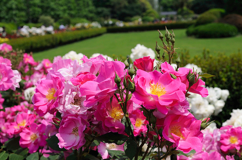 image0168