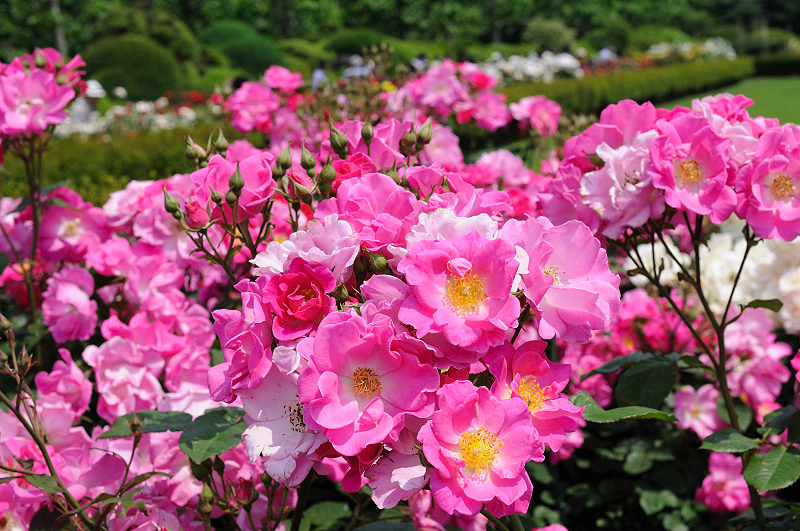 image0170