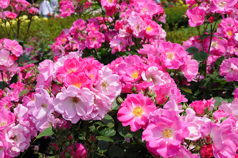 image0171