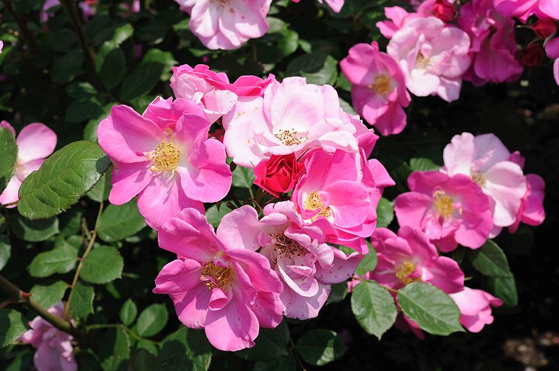 image0173