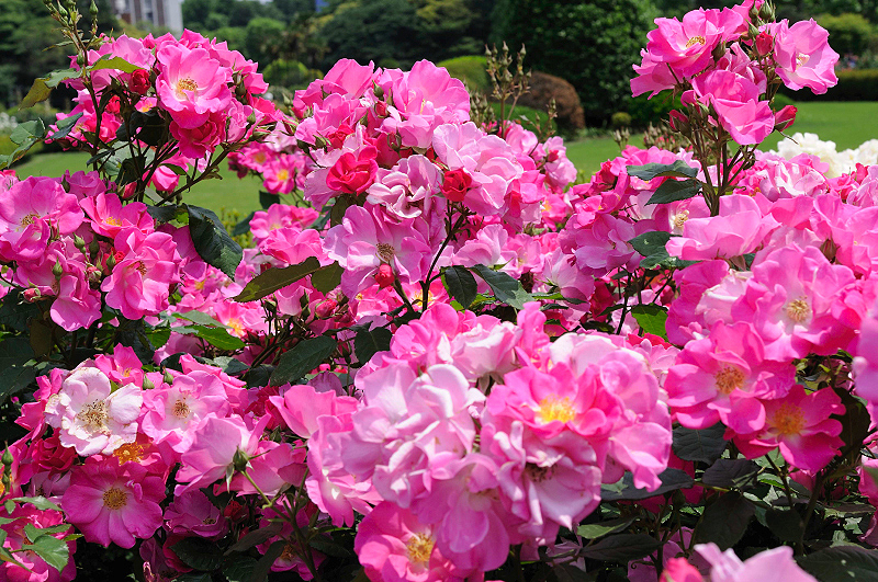 image0174