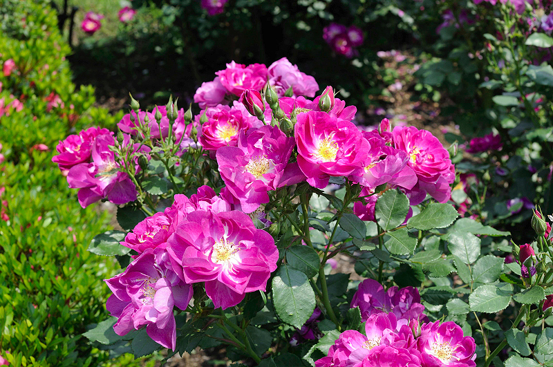 image0175