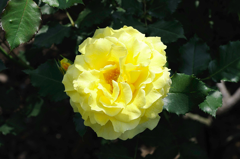 image0178