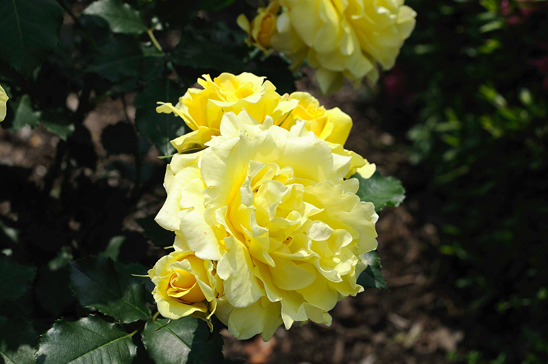 image0180