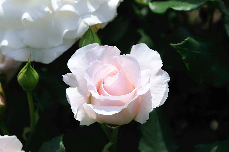 image0189