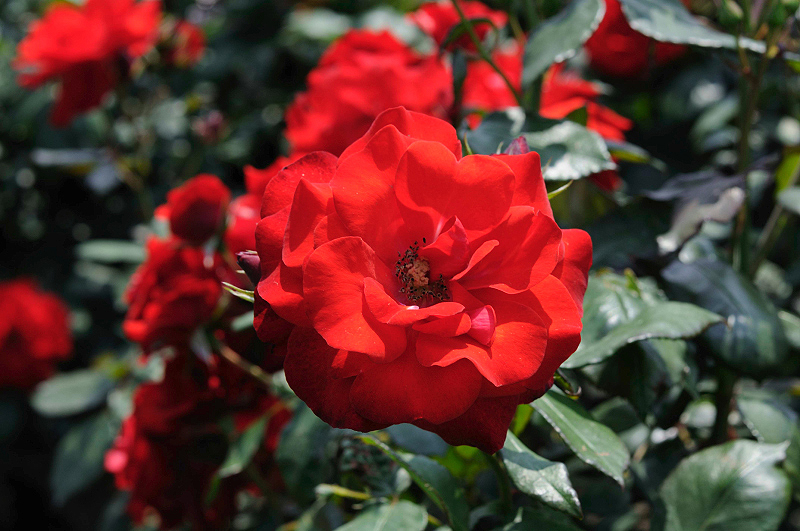 image0192
