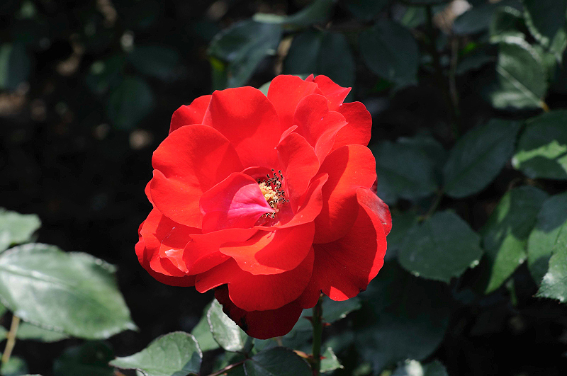 image0193