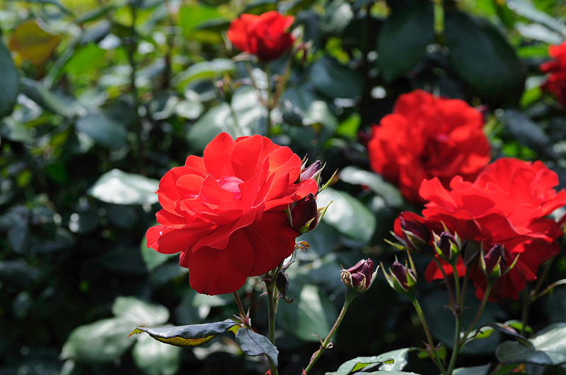 image0195
