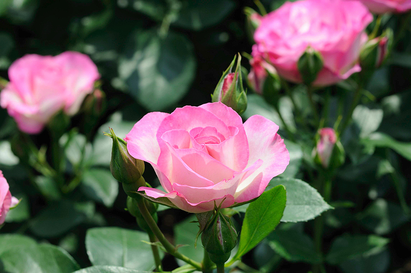 image0199