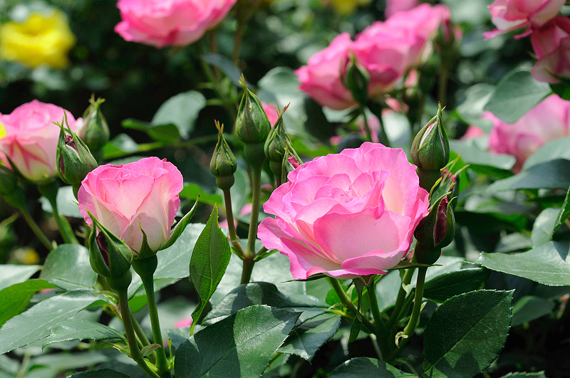 image0201