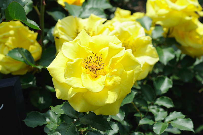 image0202