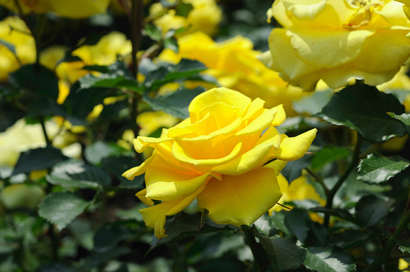 image0203