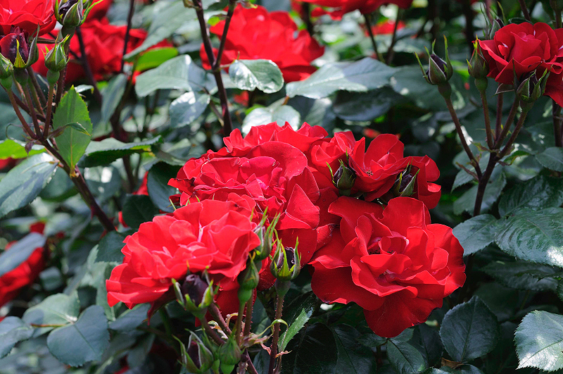 image0204