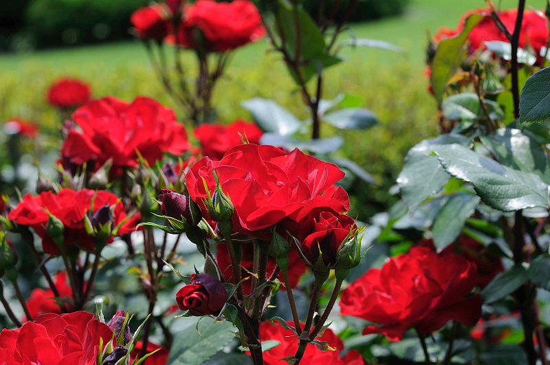 image0205