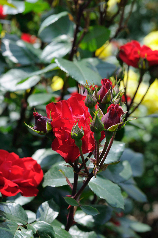 image0206
