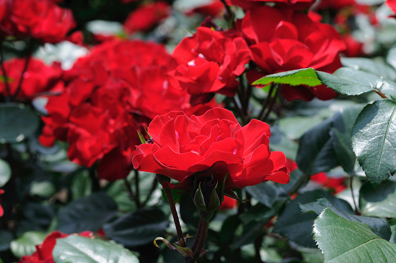 image0209