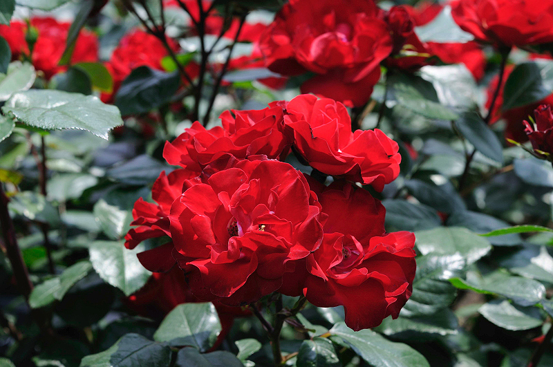 image0210
