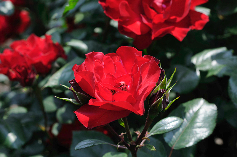 image0211
